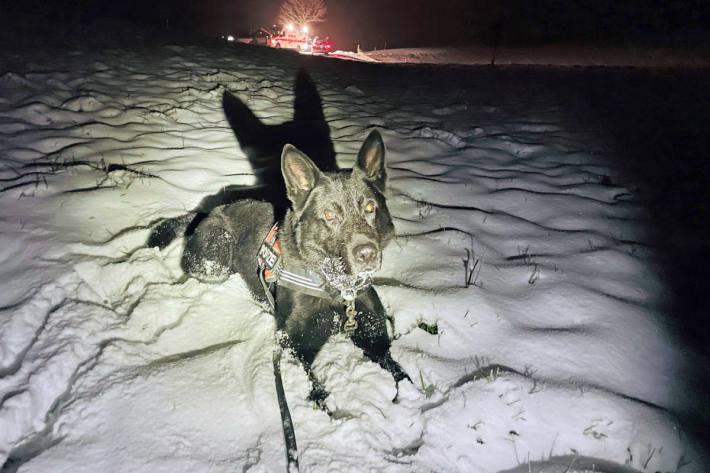 Polizeihund Dodge nach dem Einsatz