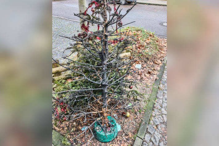 Weihnachtsbaum geht in Flammen auf – Mutter und fünf Kinder verletzt