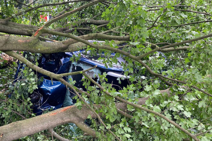 Person im Auto unter Baum eingeklemmt in Dinslaken