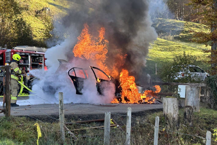 Der Personenwagen wurde durch das Feuer komplett zerstört.