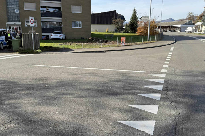 Der Lenker und sein Mitfahrer blieben unverletzt.