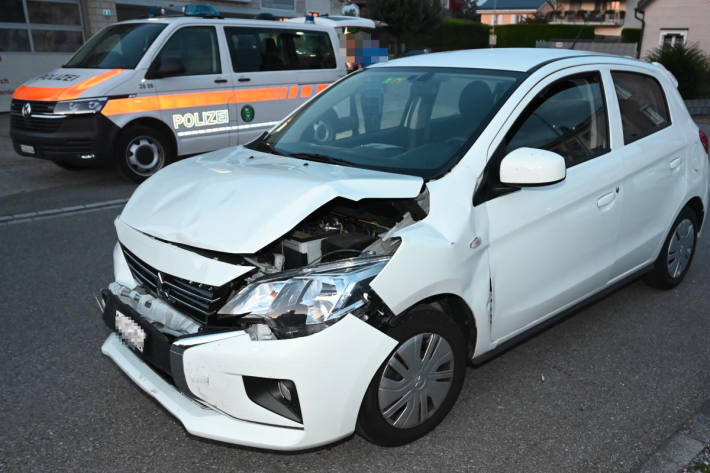 Der Fahrer war alkoholisiert unterwegs.