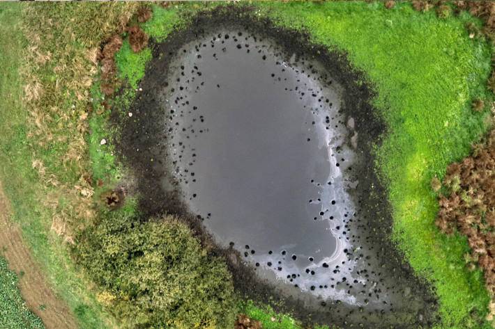 An diesem Tümpel wurde die Leicht abgelegt und versucht zu verbrennen.