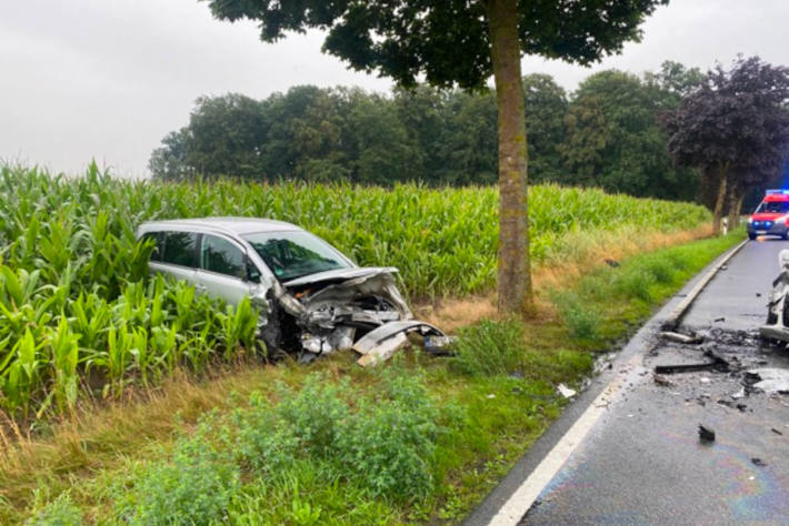 Wespe im Auto verursacht Frontalzusammenstoß mit drei Verletzten