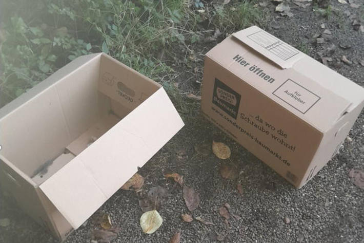 In diesen Kartons waren die Häschen ausgesetzt worden.