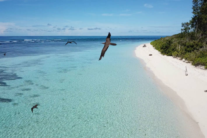 Bird Island Beach