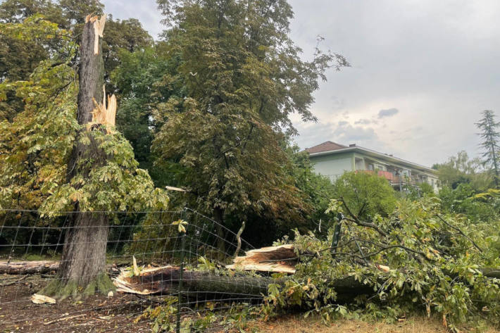 Heftiges Gewitter verwüstet die Stadt