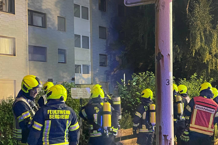 Drei Feuerwehrleute wurden bei dem Brand verletzt.