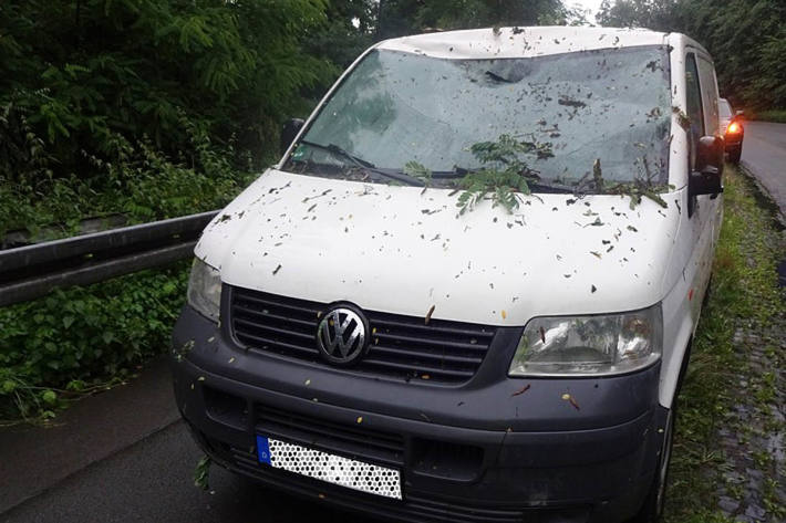 In Witten stürzte plötzlich von rechts ein circa 13 Meter hoher Baum auf die Fahrbahn und fiel auf die Frontscheibe des Transporters