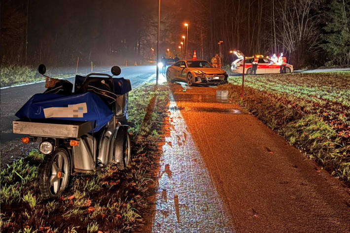 Die 30-jährige Lenkerin des Elektro-Dreirads wurde beim Unfall schwer verletzt.