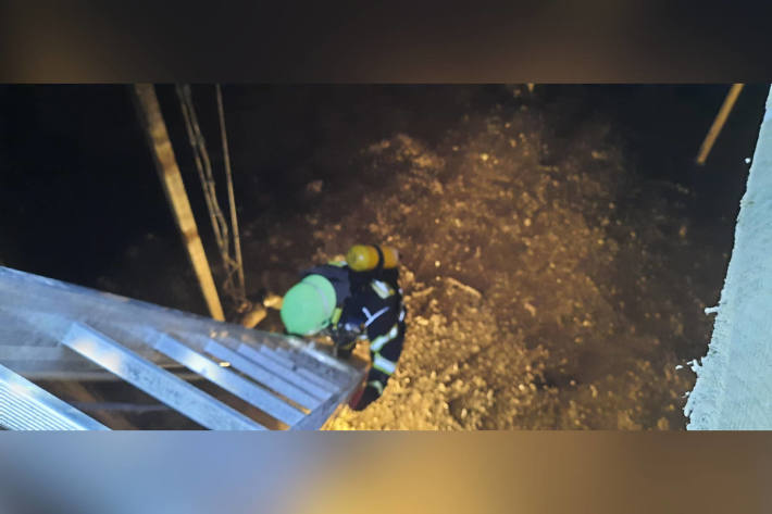 Fuchs aus Silo gerettet