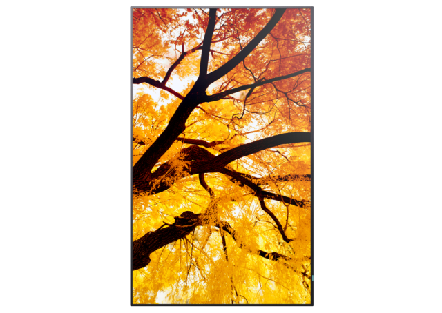 Sharp MultiSync® M552 55" Professional Large Format Display