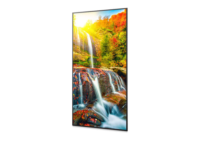 43" UHD Commercial Display