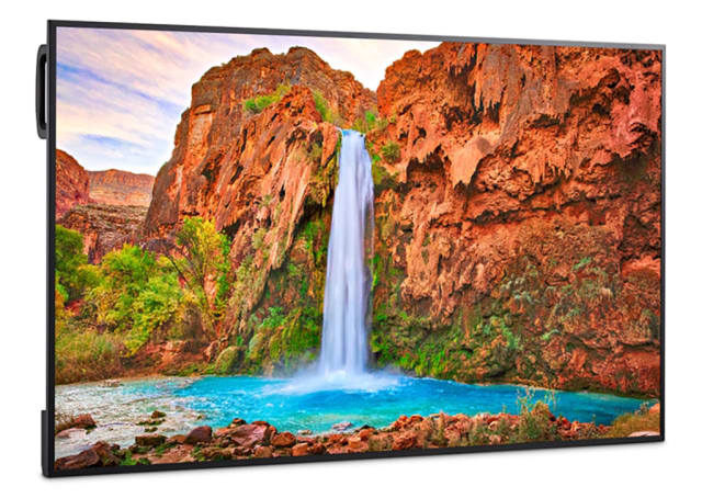 55" UHD Commercial Display