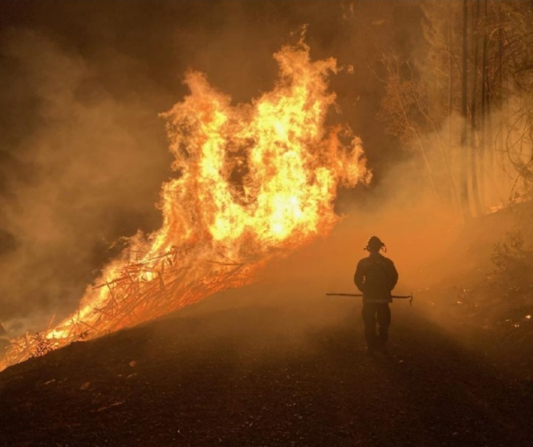 Fire Department Team