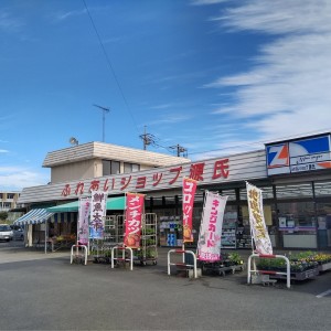 新鮮な生鮮品が売りの地域密着型スーパーです。日々のお買い物に是非お役立てください☆　■クレジットカードはVISA mastercard JCB がご使用可能です。