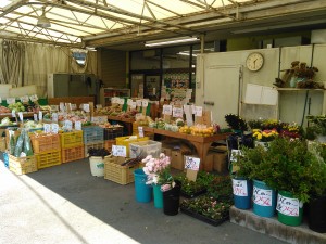 毎日市場から仕入れている自慢の青果・花です。