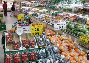 新鮮な野菜を品揃えしております。