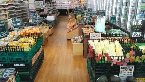新鮮な野菜を可能な限りお安くご提供しています。