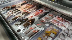 お魚売場です。