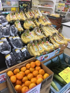 季節ごとの果物🍎🍇🍊