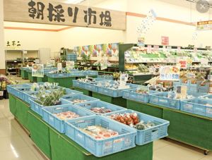 地元で収穫された新鮮で、安心・安全な農作物を皆様に提供しています！ 