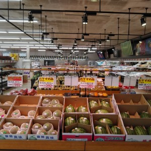 青果売場です。旬の野菜・果物を揃えております。