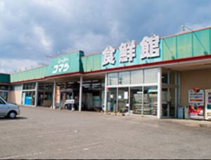 たくさんのおいしい食材取り揃えてます♪