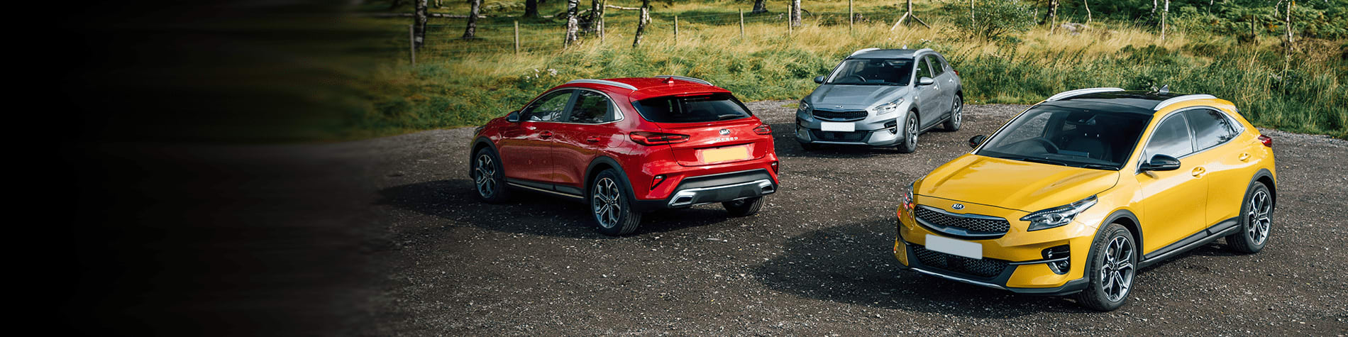 Leasing Oder Kauf? Der Ultimative Kia Xceed Ratgeber! - h45u116
