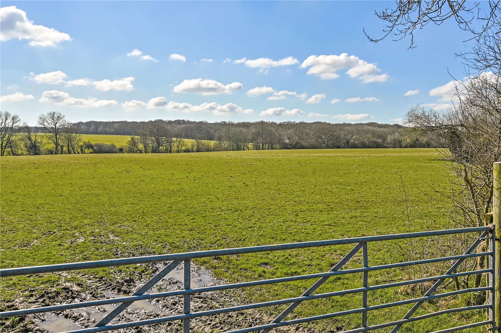 32.60 Acres Farm Sold in Biddenden TN27 Hobbs Parker Estate Agents