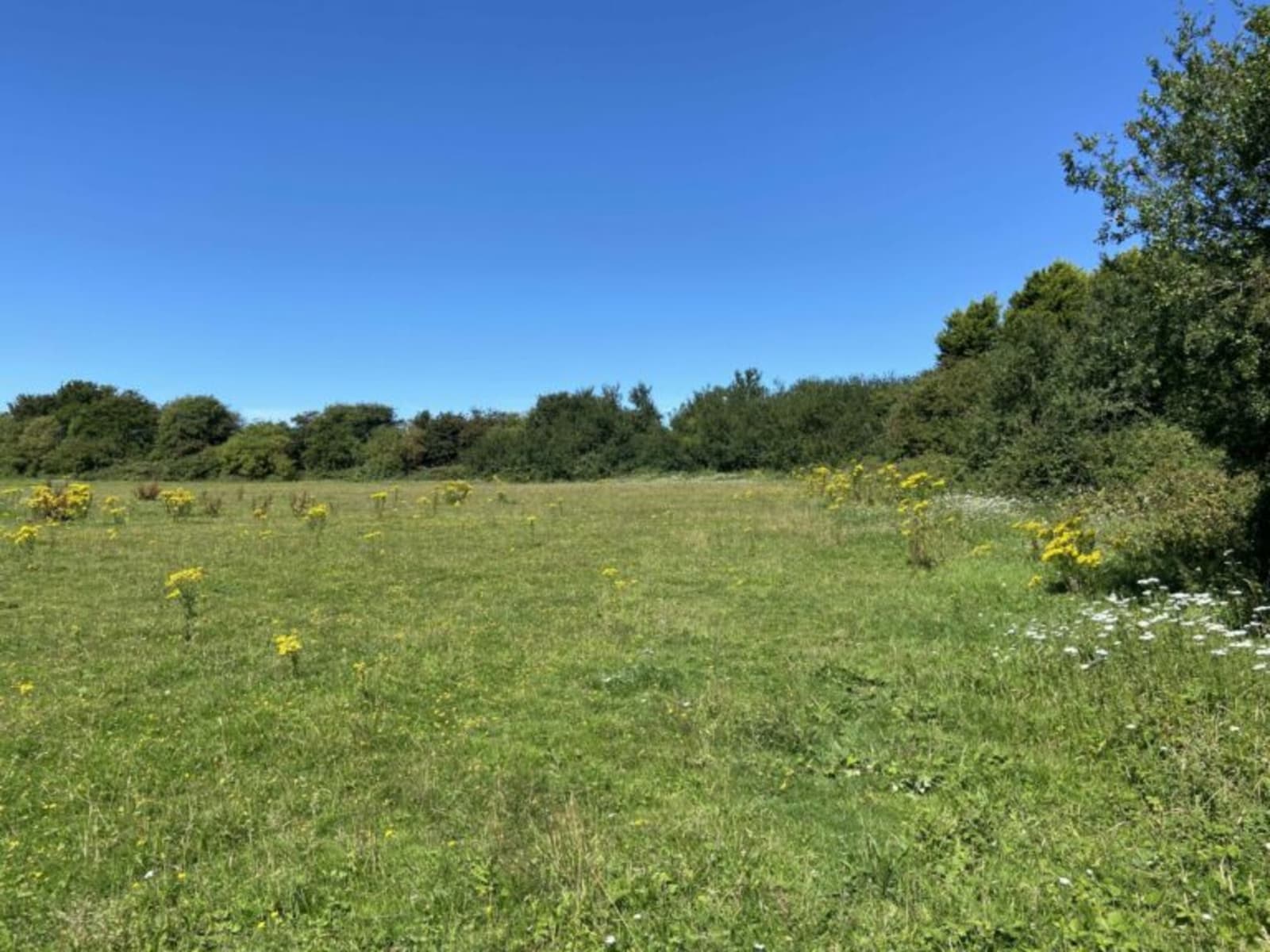 Sale of development land for 34 new houses at CapelLeFerne Hobbs Parker