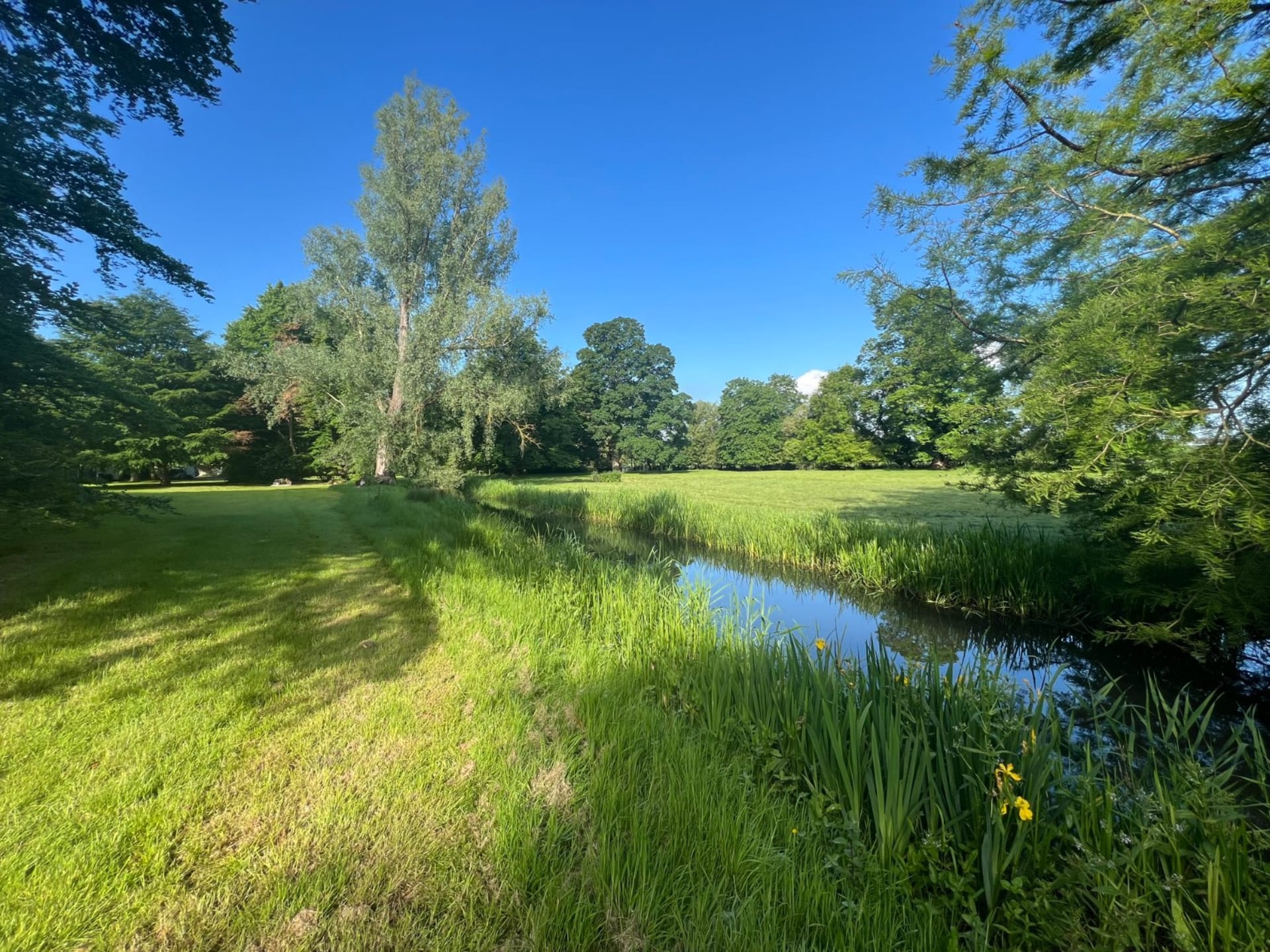 Ickham — £1,475,000