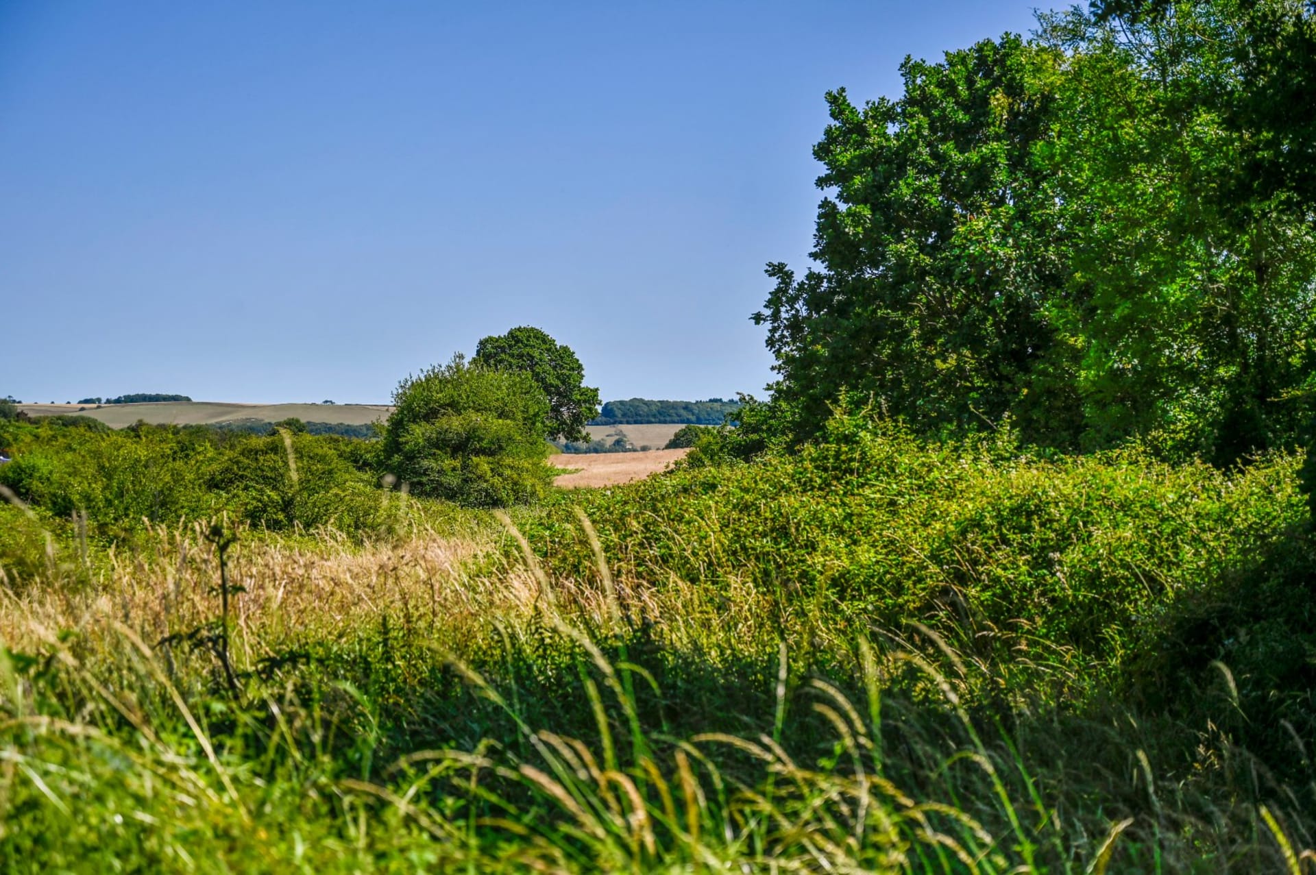 Brabourne Lees — Guide Price £400,000