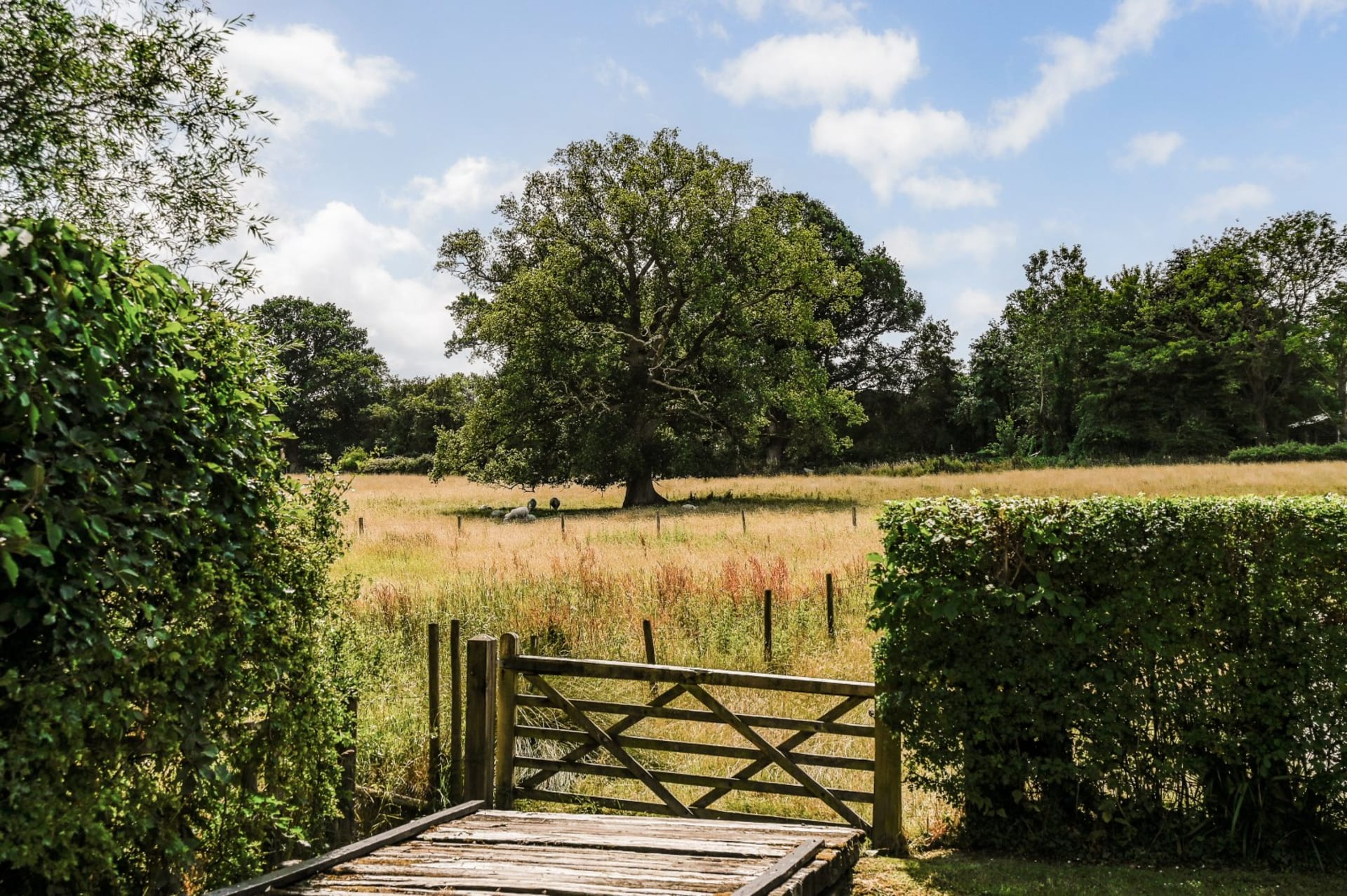 Biddenden — £1,250,000
