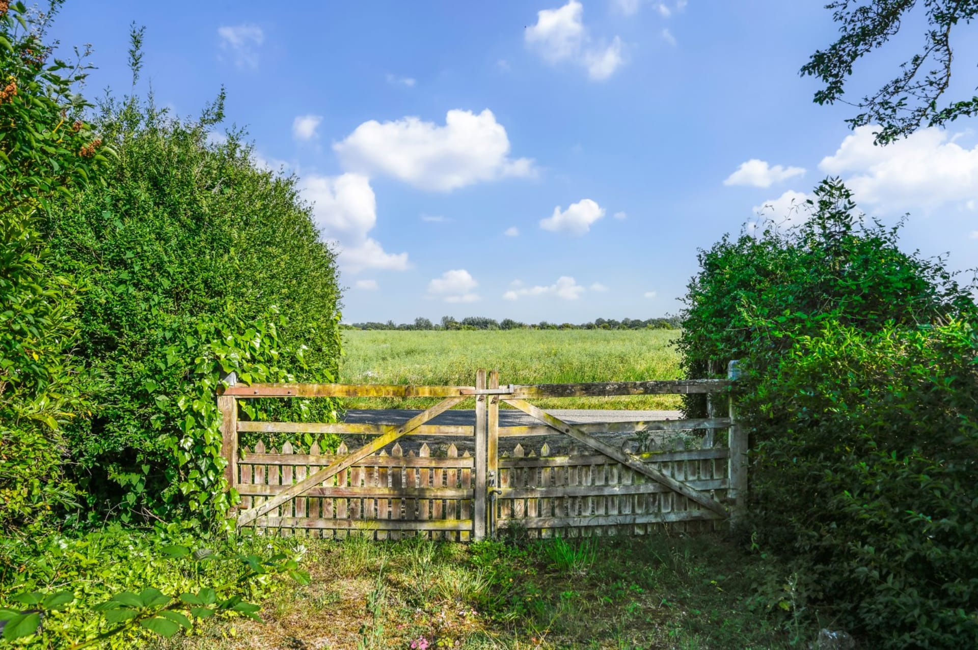 New Romney — Guide Price £645,000