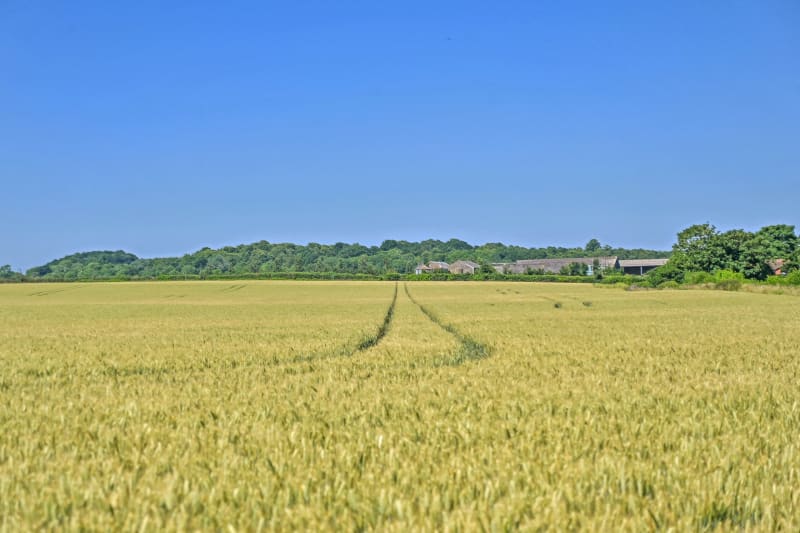 Sales of Farms and Land