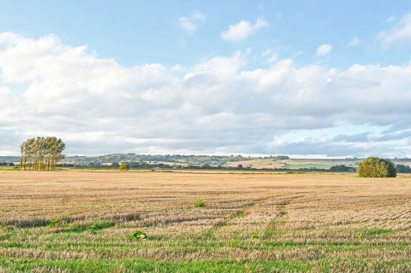 Tipsilver Land, Dymchurch