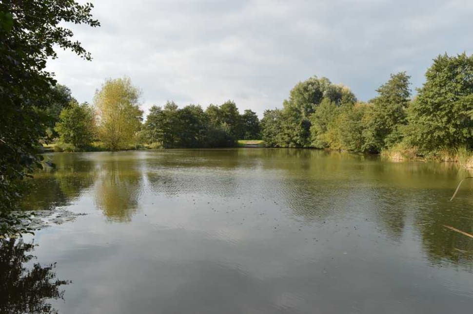 Fishing Lake