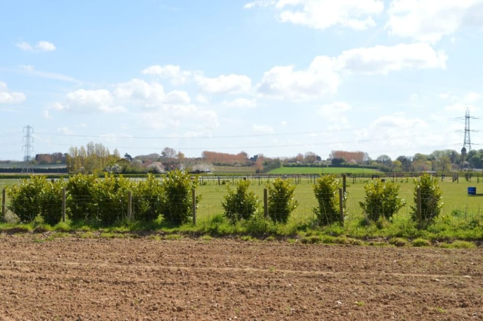 Woodside Farm Barn - View