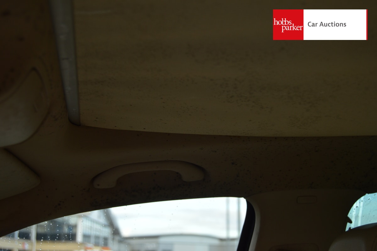 VOLKSWAGEN TIGUAN SPORT TDI 140 AUTO image 18