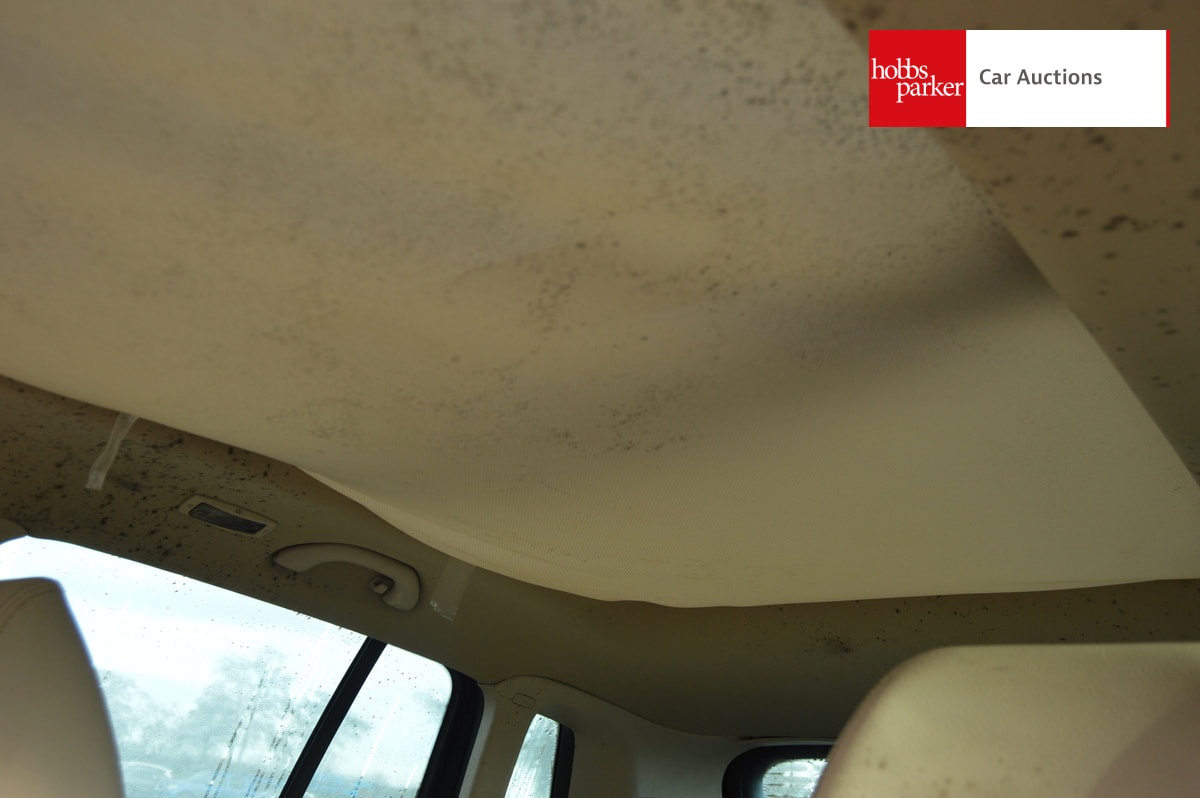 VOLKSWAGEN TIGUAN SPORT TDI 140 AUTO image 19