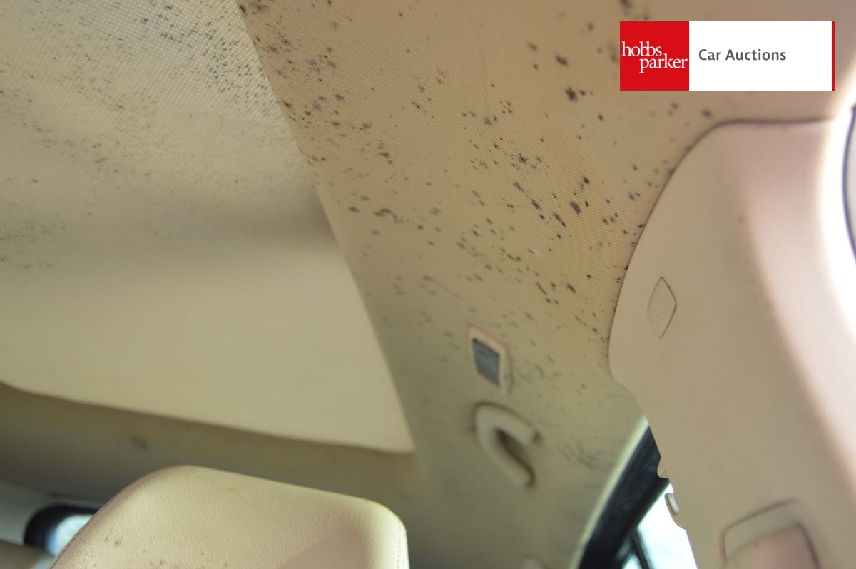 VOLKSWAGEN TIGUAN SPORT TDI 140 AUTO image 20