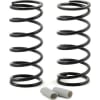 RC12R6 Shock Springs gray 11.8 lb/in photo