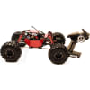 R1 RTR 1/10 Rock Buggy Tube photo