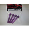 Purple Aluminum Swivel Spring Loaded Body Posts HPI Hellfire photo