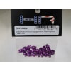 Purple Aluminum Suspension 5.8mm Pivot Balls (20) photo