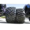 Goliath Tires 178x97mm (2) photo