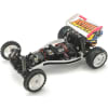 Super Astute2WD Buggy Kit 2018 photo