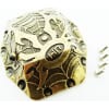 Spider AR60 Axle Diff Cover (Antique Gold) - Yeti Wraith AX10 photo