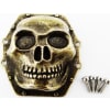 Metal Skull Ar60 Diff Cover (Antique Gold) - Yeti Wraith Ax10 photo